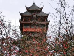 -塔子山公园