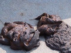 iphone_upload_pic-和枫(众意路店)