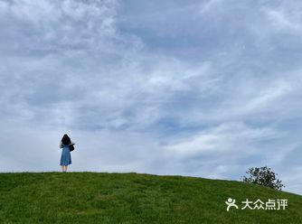 东五环边可以拍出草原大片儿的地方