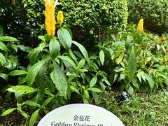 -广州花园酒店
