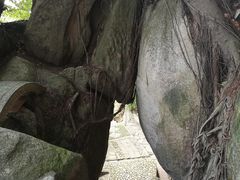-鸿山公园