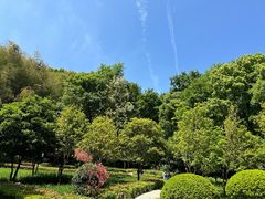 -上海佘山国家森林公园天马山园