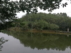 -成都飞越丛林探险乐园(锦绣城园区)
