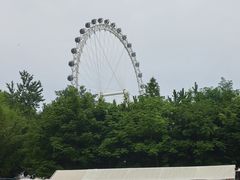 -日照海滨国家森林公园