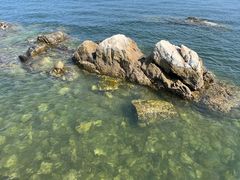 -养马岛旅游度假区