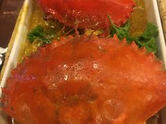 -茉莉.Red Crab