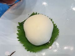 -老淳安—伴山伴湖(千岛湖开元度假村店)