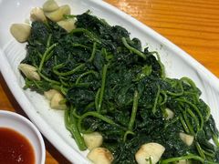 -九道菜有鸡鱼头(石鼓路店)