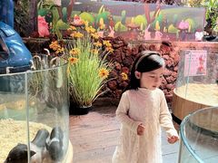 -正佳雨林生态植物园