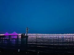 -星海湾跨海大桥