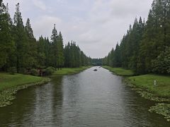 -黄海国家森林公园