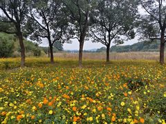 -池州市平天湖风景区