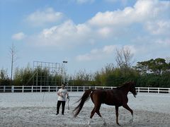 -上海崇明金茂凯悦酒店