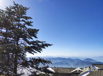 成都周边 |带低龄娃登峨眉山金顶耍雪保姆级攻略