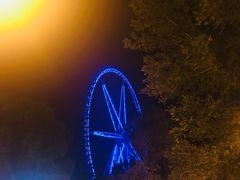 -哈尔滨文化公园