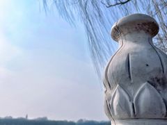 -南海子公园