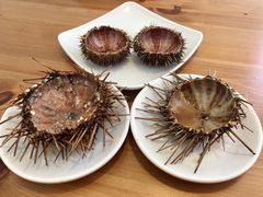 -海胆小馆(东北水饺·春柳店)