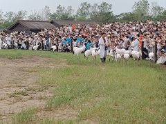 -盐城丹顶鹤湿地生态旅游区