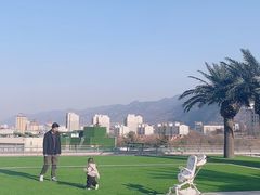 -长安先导国际创新人才交流中心