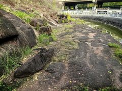 -广州七星岗古海岸遗址科学公园