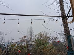 -三圣花乡旅游区