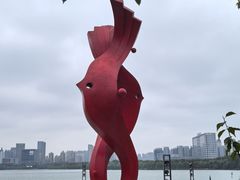 -天鹅湖体育公园