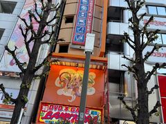 -秋叶原电器街