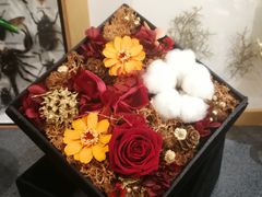 -植物学家的女儿(北马道巷店)