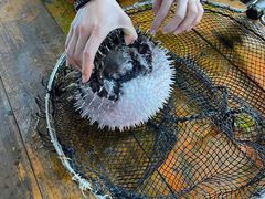 -蓝湾碧波·老字号·疍家非遗海上餐厅