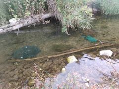 -云岫谷游猎自然风景区