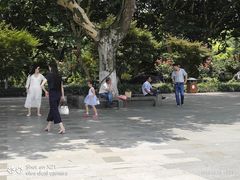 -西湖游船