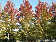 -辽宁大学(崇山校区)