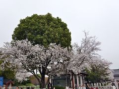 -黑龙江省森林植物园