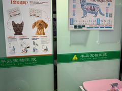 -半岛宠物医院24小时(科华中路店)