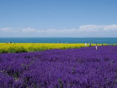 -青海湖国家重点风景名胜区