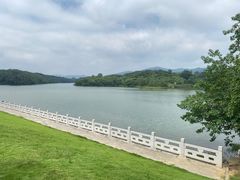 -佛手湖郊野公园