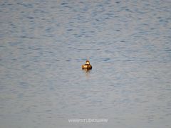 -仙海旅游度假区