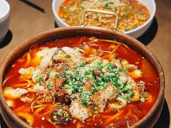 -向川南·水煮鱼·川菜(和平里店)