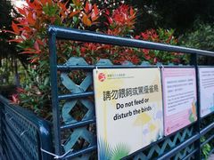 -九龙公园