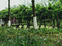 -府河摄影公园