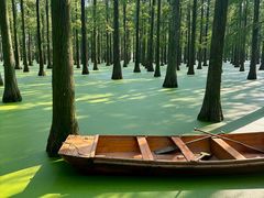 -渌洋湖湿地公园