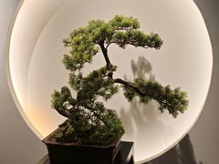 -席仁堂推拿按摩脊柱调理(世纪科贸大厦店)