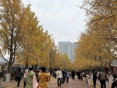 -辽宁大学(崇山校区)