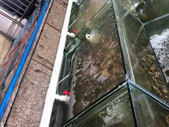 -海岸风情蒸汽海鲜自助餐厅(家宴金手勺店)