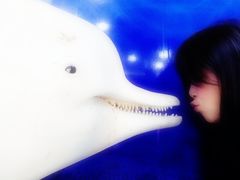 -港珠澳大桥码头