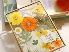 -知物癖(牛王庙店)