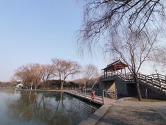 -洛阳市隋唐城遗址植物园