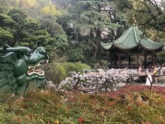 -申粤轩酒楼·三十年粤菜经典(丁香花园店)
