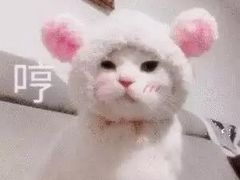 -好利来(光华中心店)