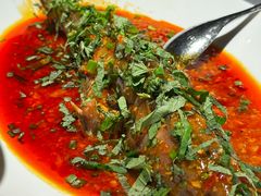 -南堂馆·新川菜(春熙路店)